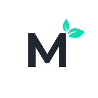 Mint3D Models
