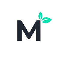 Mint3D Models