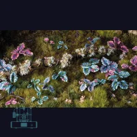 Alien Monstera Laser Plant