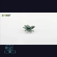 Blue Agave Laser Plant