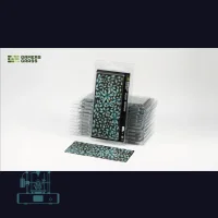 Blue Agave Laser Plant