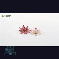 Lotus Flower Laser Plant