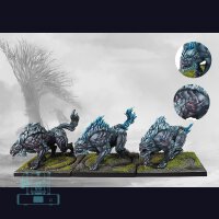 Nords 2026 Starter - Nords