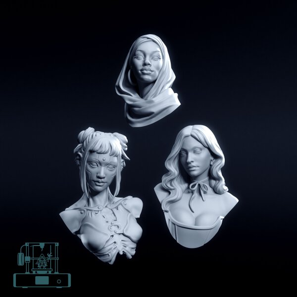 Three academic busts - Set (3)