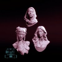 Three academic busts - Set (3)