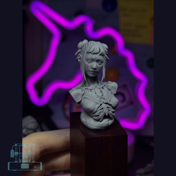 Cyber girl academic bust (1)