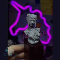 Cyber girl academic bust (1)