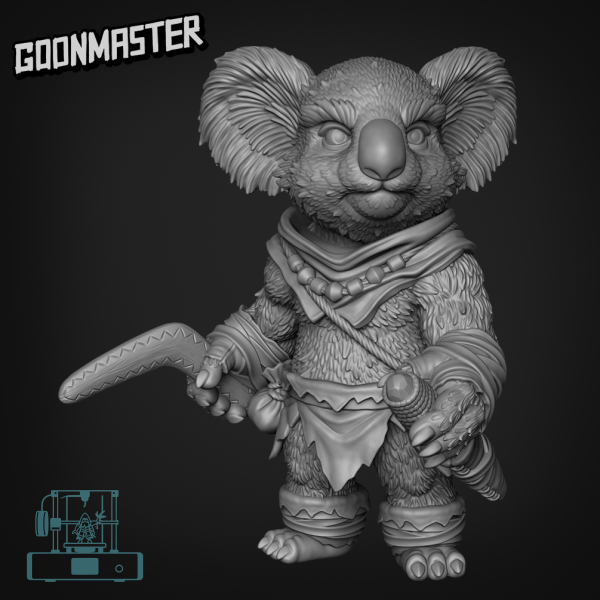 Koala Boomerang Boy 3A