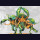 Yoroni vs Weaver Courts 2 Player Starter Set