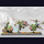 Yoroni vs Weaver Courts 2 Player Starter Set