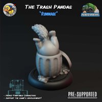 Racoon Rummage