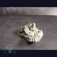 Titan (zerstört) - Fuß