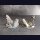 Space Orc Bomber Wreck - Plane 3 (Set (2)