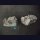 Tank Wreck Set 3 - Space Marine Vindicator (2)