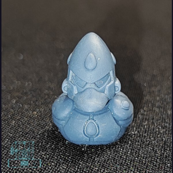 Eider Guarduck