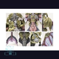 Pteraphon - Spires
