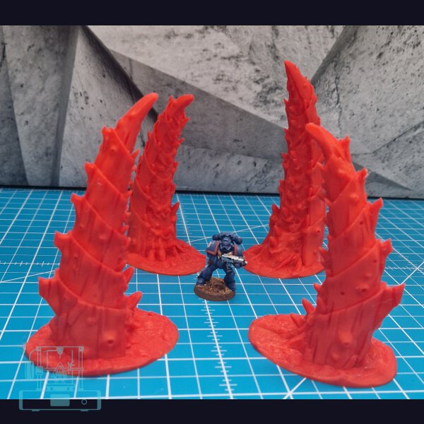 Tulipa Bundle - Claws from Below