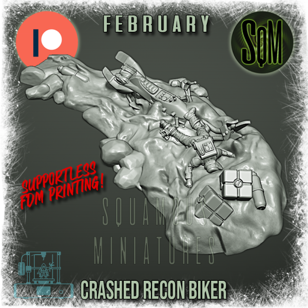 Crashed Recon Biker (SWL)