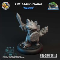 Racoon Bundle - The Trash Pandas (3)