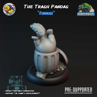 Racoon Bundle - The Trash Pandas (3)