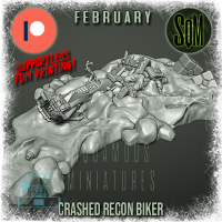Crashed Recon Biker (Shatterpoint)