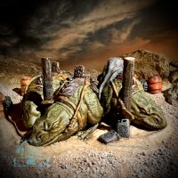 Dampspine Camp (SWL)