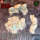 Lava Outpost Rocks (SWL)