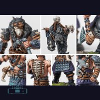 Ulfhednar (dual kit) - Nords