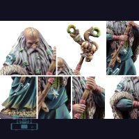 Shaman - Nords
