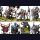 Stalkers - Nords