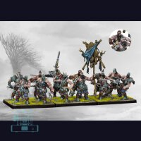 Raiders - Nords