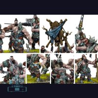 Raiders - Nords