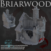 Briarwood City - Bunlde: Ruinen (3 Stück)