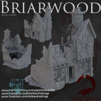 Briarwood City - Bunlde: Ruinen (3 Stück)