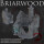 Briarwood City - Bunlde: Ruinen (3 Stück)