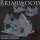 Briarwood City - Schmiede Ruinen (Blacksmith Ruin)