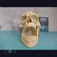 Würfelturm - Totenschädel - Dicetower