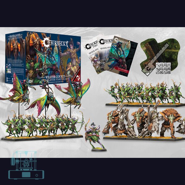 Weaver Courts 2025 Starter - One Player Starter