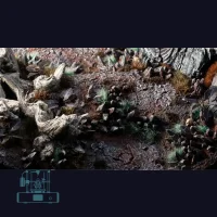 Chaos Shards Basing Bits