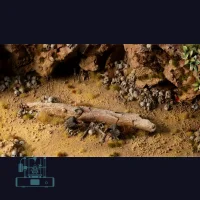 Skulls & Bones Basing Bits