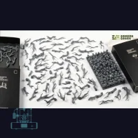 Enchanted Forest Basing Box