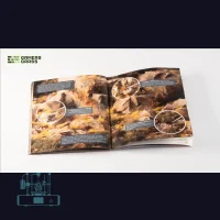 Golden Autumn Glade Basing Box