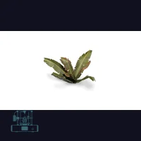 Banana Tree Laser Plant