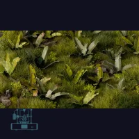 Banana Tree Laser Plant