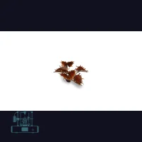 Alien Flytrap Laser Plant