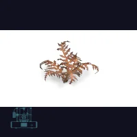 Dry Bracken Laser Plant
