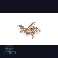 Dry Bracken Laser Plant