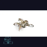 Dry Bracken Laser Plant