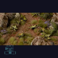 Dumb Cane Laser Plant