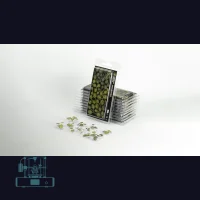 Monstera Laser Plant